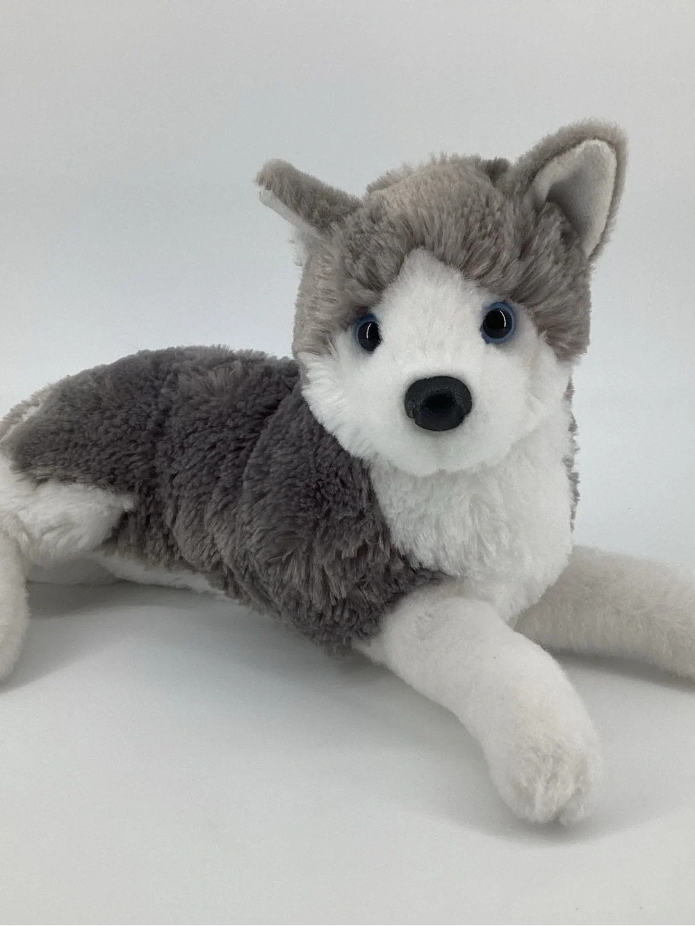 Douglas Husky Dog Plush #4327 Blue Eyes Puppy Laying Down Cuddle Toy Stuffed